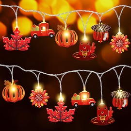 Blosssound 20 ft Fall String Lights 40 LED Thanksgiving Fall Maple Leaf Pumpkin Acorn Decoration Autumn Window Lights for Autumn Harvest Thanksgiving Party Indoor Outdoor Decoration
