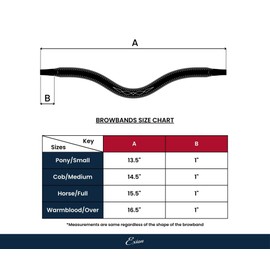 Exion Leather Browband For English Horse Bridle- Curved Shape, Soft Padded, Designer Stitched Equestrian Browband