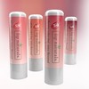 Lip Naturals Tinted Lip Balm for Moisturizing Chapped Lips, 4