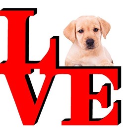 Yellow Lab Dog Love Park Cute Dog Fridge Refrigerator Car Magnet
