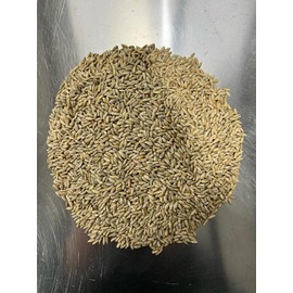 Bulk Rye Berries - Certified 100% Organic - Extra Clean - Great for Mushroom Spawn, Cooking, Brewing & Distilling - Triple Washed, non-GMO and in Resealable Bag - by Mycology Basics (2.0 lbs)