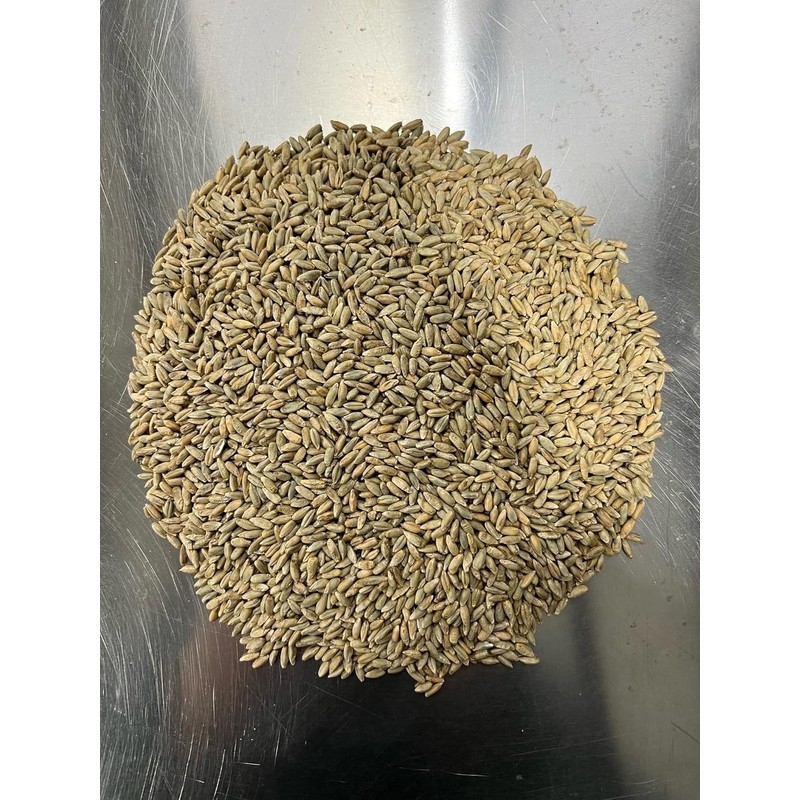 Bulk Rye Berries - Certified 100% Organic - Extra Clean