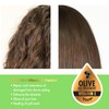 Donna Collection Olive Oil & Vitamin E Treated Sleep Cap