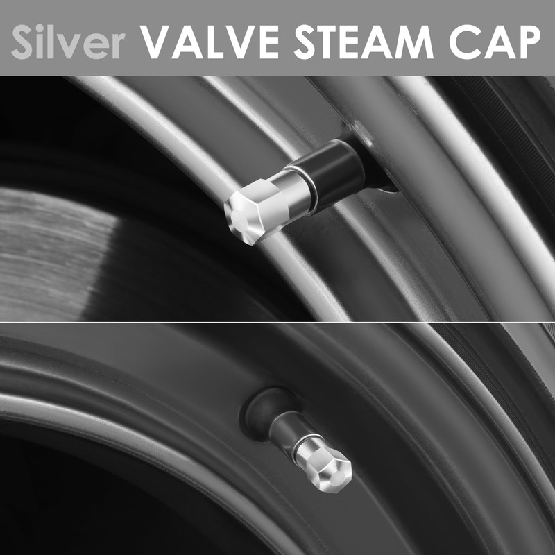 Hexagon Brass Alloy Coated & Polished Silver Chrome Tire Valve