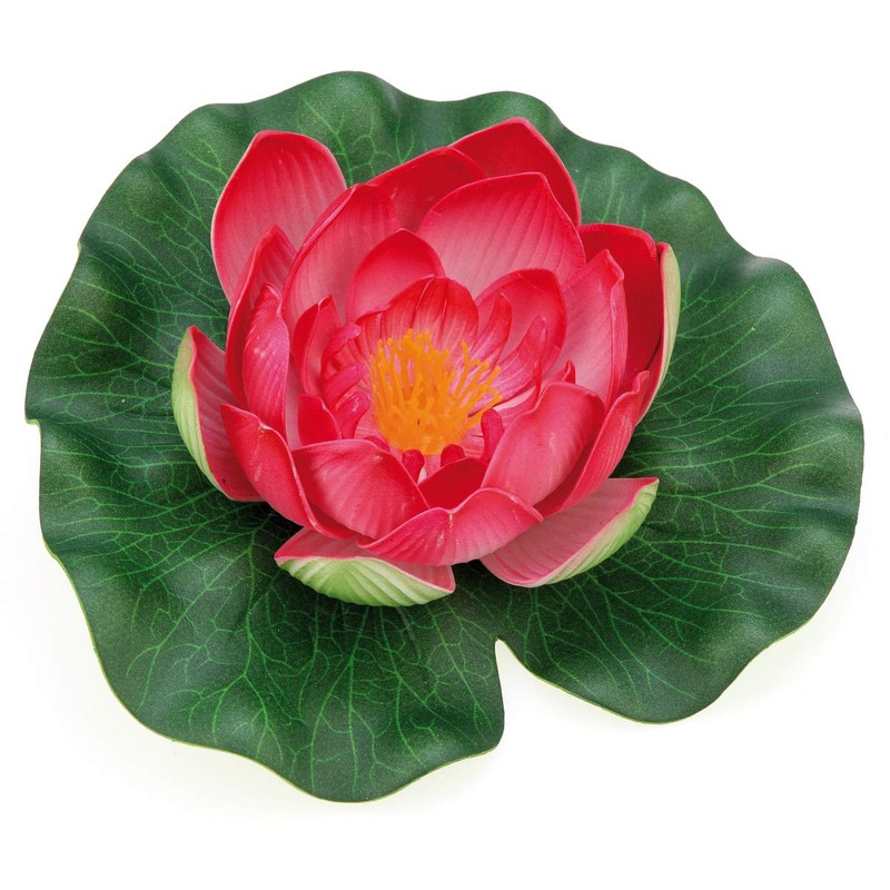 Oase Pontec-Pondolily-White Water Lily Flower