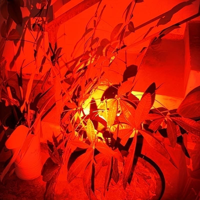 POCKETMAN Red Torch LED Pen Flashlights, Mini, Waterproof Pocket Flashlight