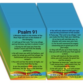 Fankya 240pcs Gospel Tracts Plan of Salvation Cards Pocket Holy Prayer Cards Bible Tracts Inspirational Mini Bibles Christian Tracts for Evangelism Church Gifts (Psalm 91)