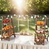 Wooden 3 Tier Cupcake Stand with Swing and Foldable Stand