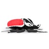 Goliathus Regius Plush,9.8 '' Royal Goliath Beetle Stuffed Animal,Birthday Gifts