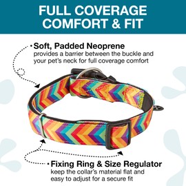Max & Molly Gotcha! Hundehalsband Halsband Hund mit Smart ID, gepolstertes Neopren Halsband mit Design für kleine Hunde, wasserdicht, bequem, verstellbar, Summertime, S