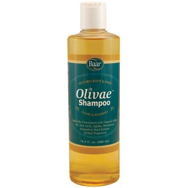 Baar Olivae Shampoo, Formulated with Organic Olive Oil to Nourish & Cleanse, Infused with Aloe Vera, Jojoba Oil & Proteins to Repair Dry Damaged Hair & Add Volume, 16.5 fl oz