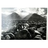 Mt. Williamson Sierra Nevada Photograph Ansel Adams 1944 greeting card