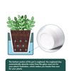 D'vine Dev 4 Inch Design Self Watering Planter for Indoor
