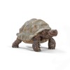 Schleich Wild Life- 7"Realistic Giant Tortoise Toy Animal Figurine -