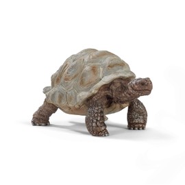 Schleich Wild Life- 7"Realistic Giant Tortoise Toy Animal Figurine - African Safari Figures for Boys and Girls-Wild Animal Educational Toy - Zoo Wildlife Figurine for Toddlers and Kids Ages 3+ | 14750