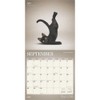 BrownTrout, Yoga Kittens Plato 2025 Wall Calendar