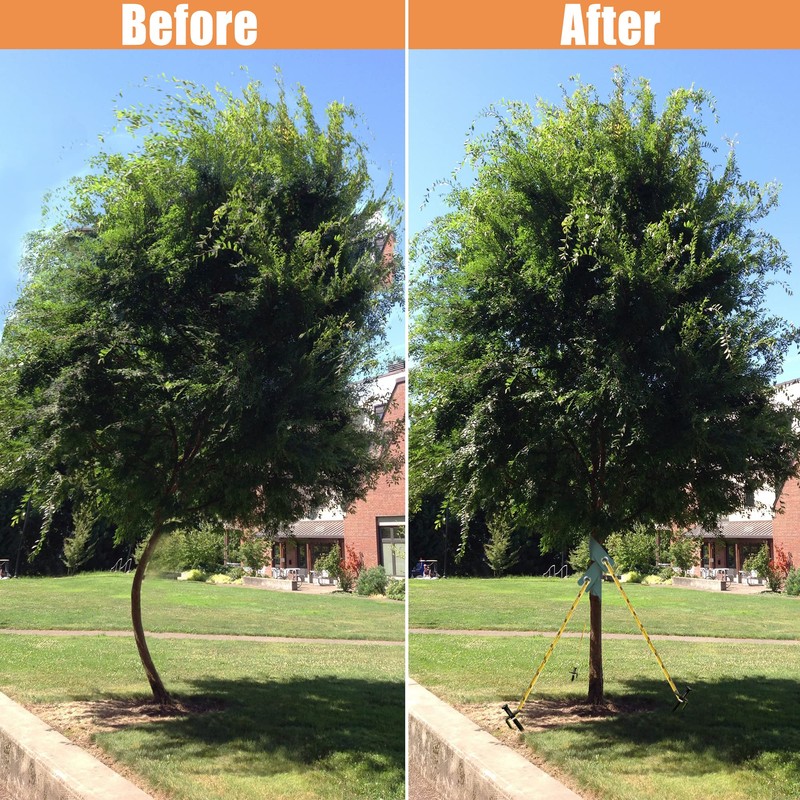 Aoipend Heavy Duty Tree Stakes Kit, Tree Supports for Leaning