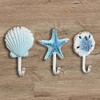 BLACK FOREST DECOR Aqua Beach Shell Hooks - Set of