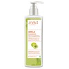 JIVA AYURVEDA Amla Shampoo - 200 ml - Pack of