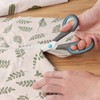 Asdirne Scissors, Stainless Steel Blades, Soft Grip Handle, Suitable for