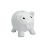 Piggy Bank PVC Soft Body Vibrant Colour Novelty Money Box