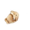 Naitou Design Laboratory 038912 Walrus's Day Plush Toy S