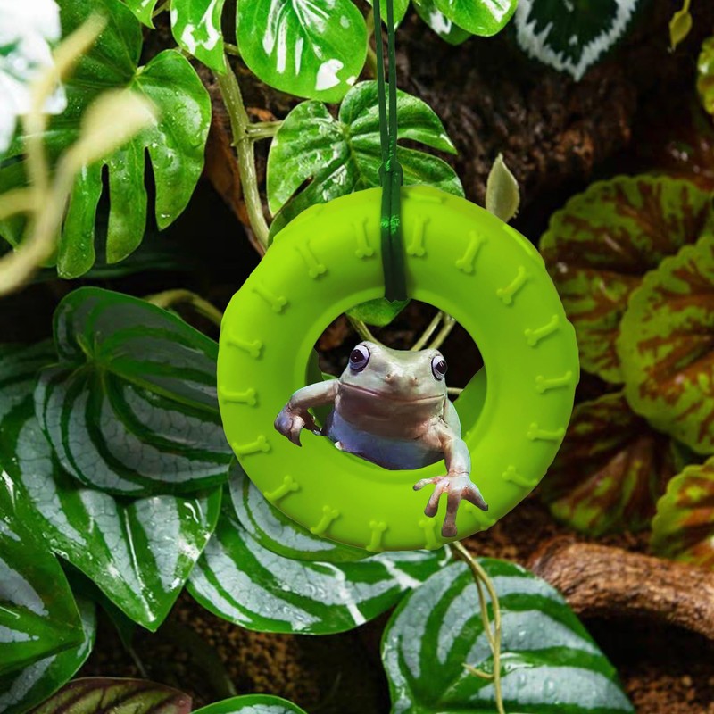 JSLZF Tree Frog Habitat with Terrarium Decor, Frog Climbing Swing