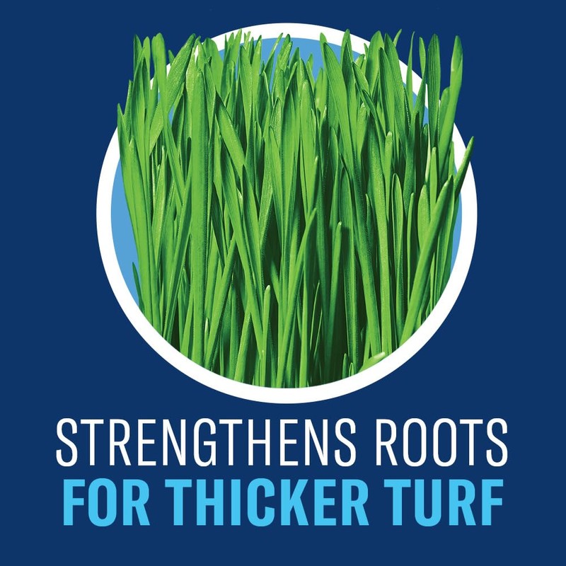 BioAdvanced Season Long Grub Control Plus Turf Revitalizer, Granules, 12