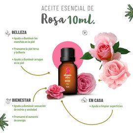 OLEUM VITAE Aceite Esencial de Rosa Rosa Damascena 100% Puro y Orgánico 10 ml Hecho en India Certificado UK Aplicación Interna Externa Y Aromática