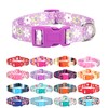 Moonpet Dog Collars for Puppy X-Small Small Medium Large Dogs
