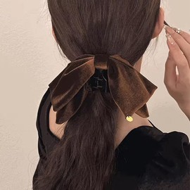 Large Bow Hair Claw Clips for Women Mesh Bubble Hair Barrettes for Thick Thin Hair Elegant Chiffon Silk Hair Accessories (Velvet brown)