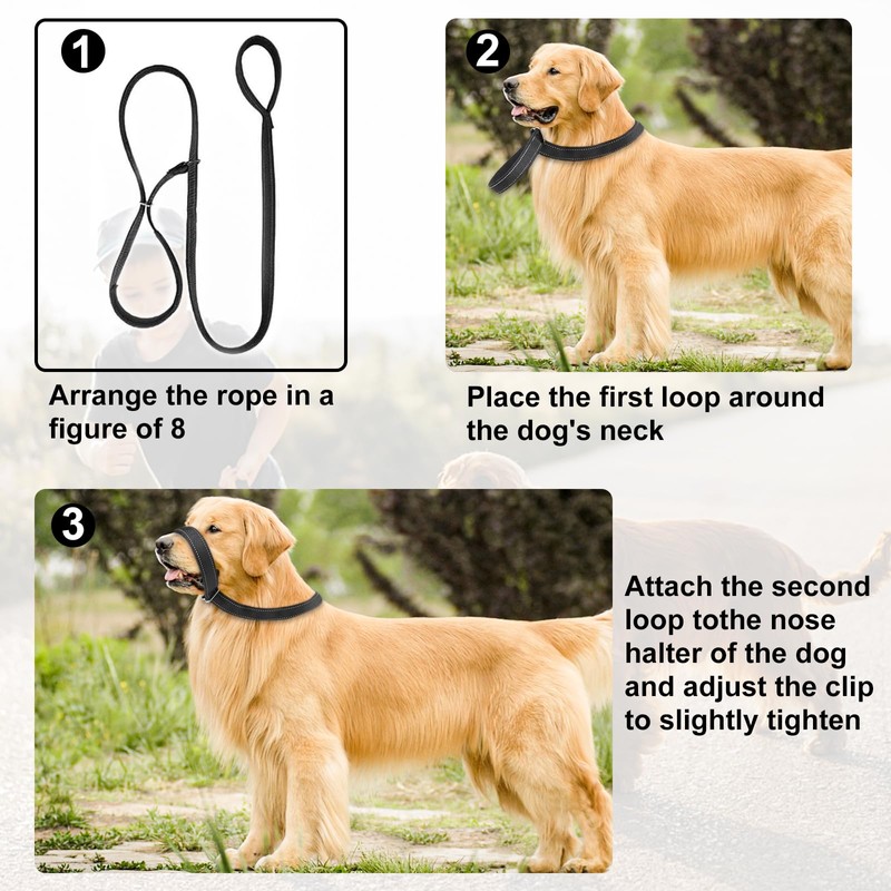Figure of 8 Dog Lead 2.5 * 180cm, Reflective Dog