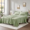 True North by Sleep Philosophy Micro Fleece Bed Sheet Set,