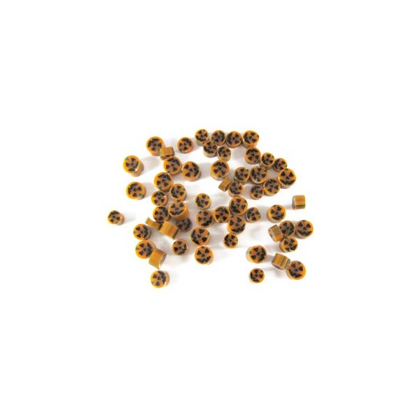 Jack-o'-Lantern Murrine 40101-96 Millefiori COE 96 Glacial Art Glass