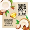 Pantene Pro-V Nourishing Coconut Milk and Shea Butter Conditioner, 38.2