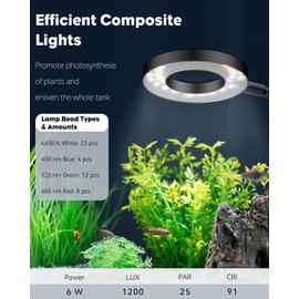 Pawfly 6 W LED Aquarium Light for 1 to 5 Gallon Fish Tanks Clip On Fish Tank Light USB Moving Aquarium Lamp with Full Spectrum Dimmable White Blue Red Green Lights with Timer (Adapter Not Included)