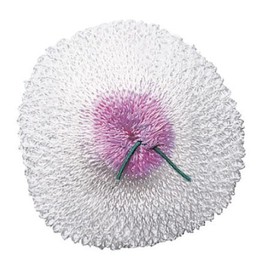 Primus Mantle - Pack of 3