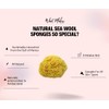 Sea Wool Sponge 6-7" (X-Large) by Bath & Shower Express