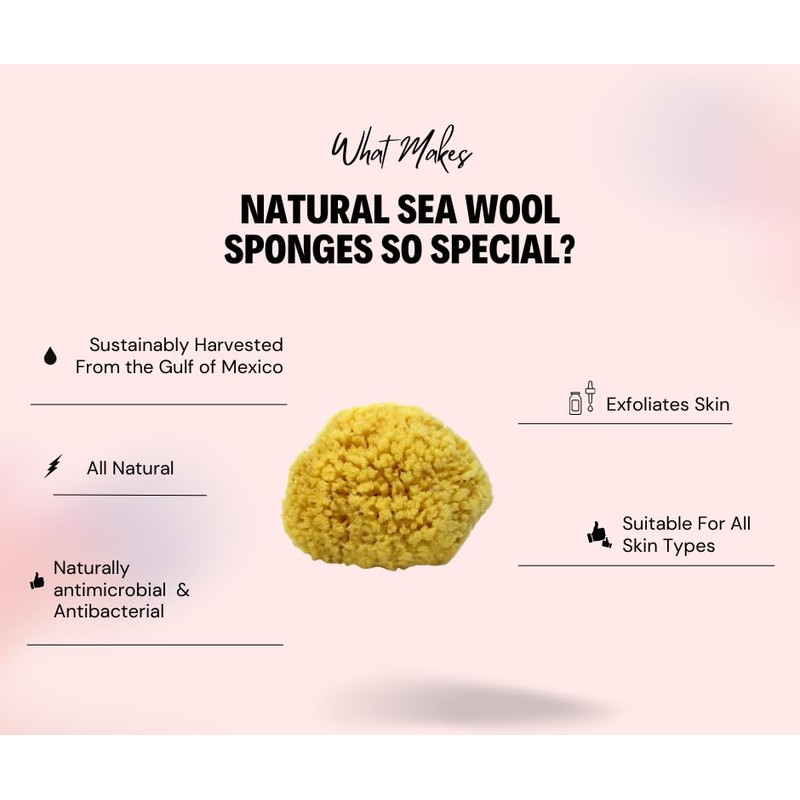 Sea Wool Sponge 6-7" (X-Large) by Bath & Shower Express