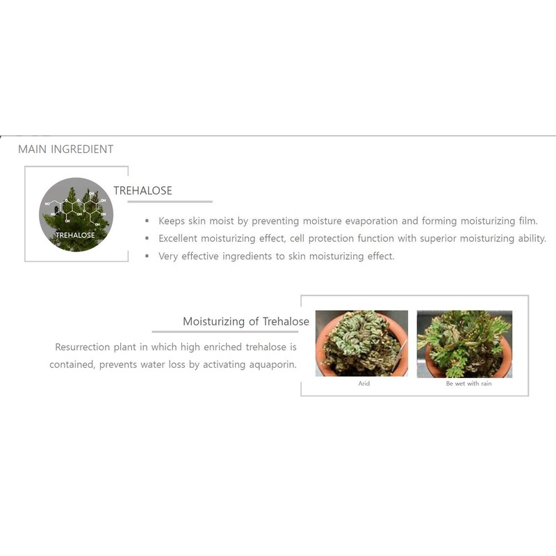 Phyto-X HYDRATION AMPOULE,Moisture 5ml5ea/box