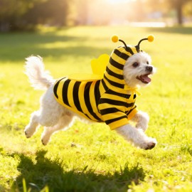 Idepet Halloween Pet Bee Costume, Dog Hoodie Cat Outfit Cute Cosplay Puppy Clothes Funny Bumble Bee Pet Apparel for Small Dogs and Cats