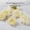 White Chrysanthemum Tea 3.52 OZ/100g,Flower Chrysanthemum Tea