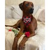 Pack of 2 Dog Bandana Valentines Day - Reversible Buffalo