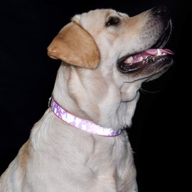 CBBPET Outdoor Camo Pink Dog Collar,Pet Dog Collar,Reflective Nylon Dog Collar,Adjustable Dog Collar,Cute Girl Dog Collar,Camo Pink, S,M,L.