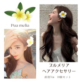 Copeflap Hair Pins Hair Clips Flower Plumeria Hair Ornaments Hair Accessories Set of 10 (White)