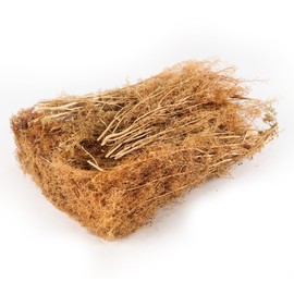 CENPEK Seafoam Trees Box Set Model Scene Materials Miniature Bushes with Branches for Diorama DIY Scenery Model Landscaping