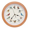 Mark Feldstein, The Original Singing Bird Clock, 25th Anniversary Edition,