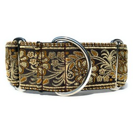 SightHound Gang Martingale Dog Collar for Greyhound Saluki Whippet and Other Breeds with Similar Neck 2 inch Wide (XL 17 inch-22 inch), Gold