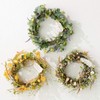 HEADS ZAR-NW1 Head Wreath Diameter 14.6 x 3.9 inches (37