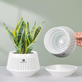 Meshpot 5 inch Plant Pots Indoor with Drainge and Good Airflow,Set of 2 Plastic Planters for Indoor and Outdoor Plants, Small Flower Pot with Air-Pruning for Potho,Snake Plants,Cacti,Orchids,Herbs